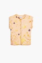 REPRIS_TS_GLOW 1029 SAND DOLLAR